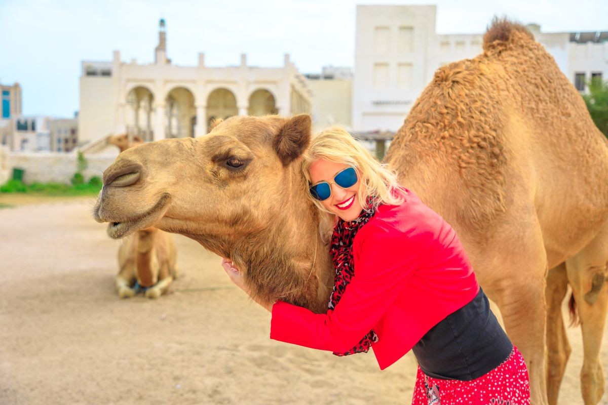 Happy blonde woman embraces a camel in Doha city center, near Souq Waqif, the old market, popular tourist in Al Souq District, Qatar. Caucasian tourist enjoys in Middle East of Arabian Peninsula.